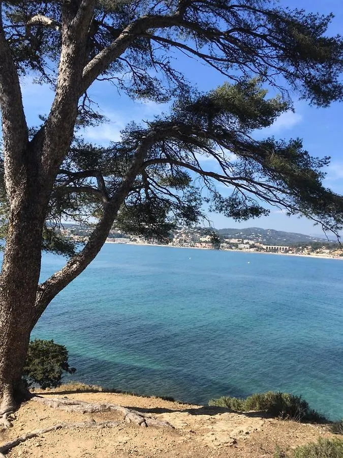 Apartment Les Galets De Sanary - Vue Mer France